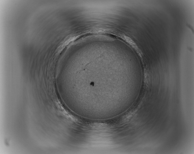 X0000103130577200808221156