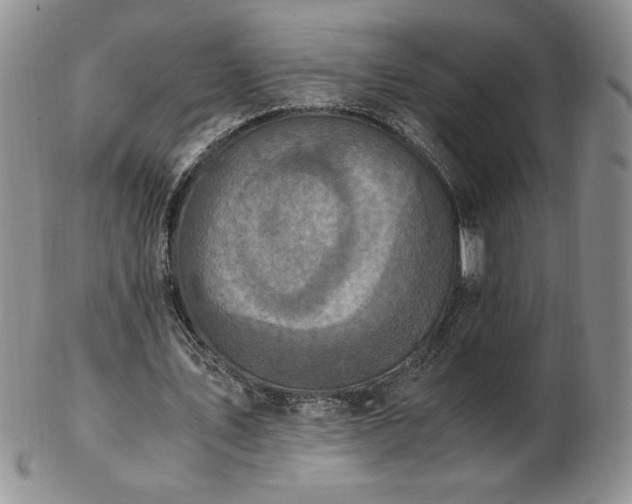 X0000103130579200808221156