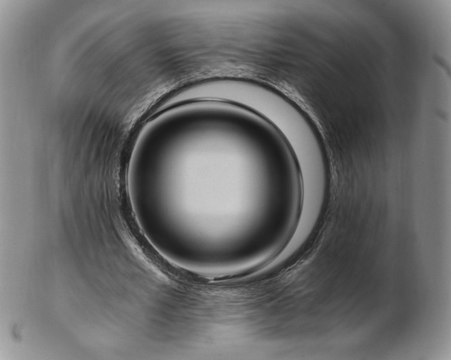 X0000103130581200808221156