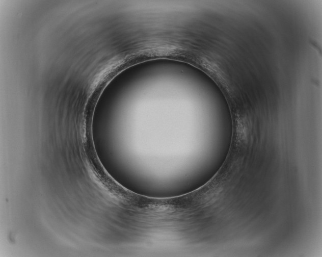 X0000103130582200808221156