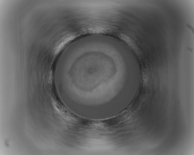 X0000103130583200808221156