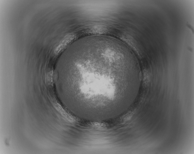 X0000103130585200808221156