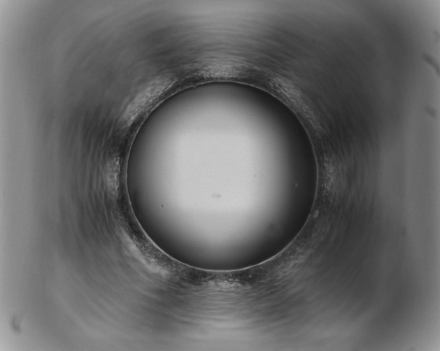 X0000103130586200808221156