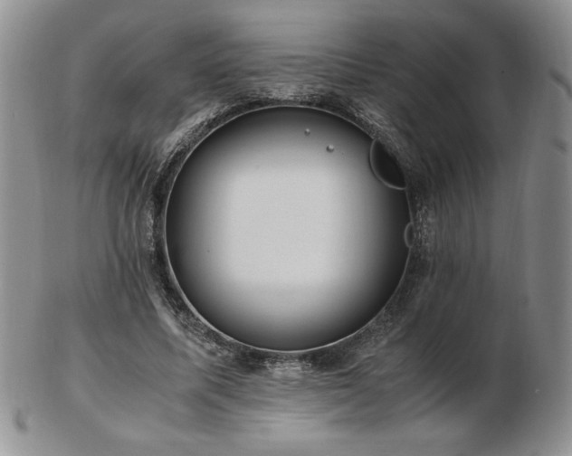 X0000103130587200808221156