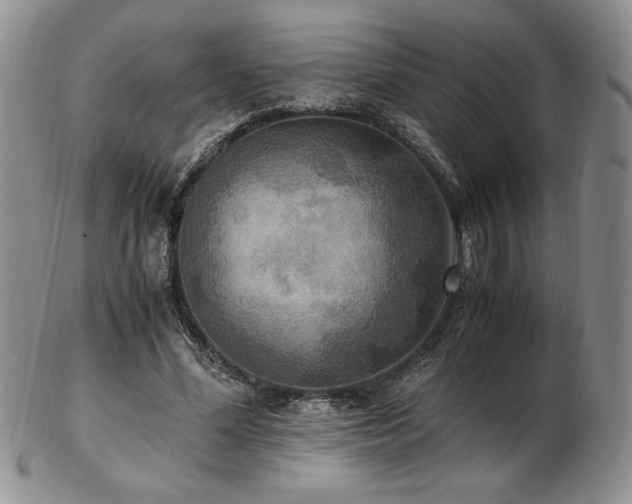 X0000103130588200808221156