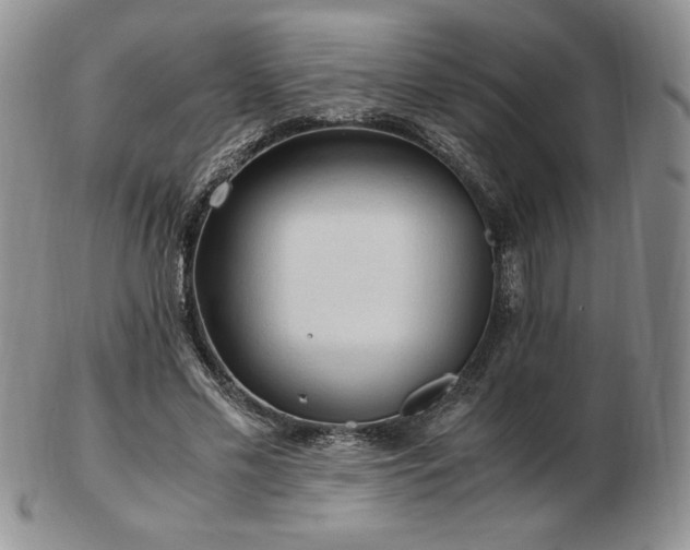 X0000103130589200808221156
