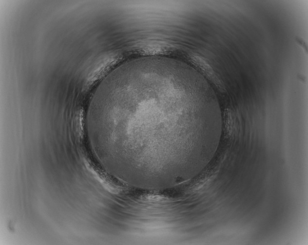 X0000103130590200808221156