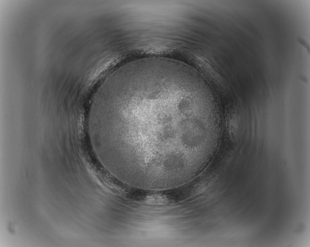 X0000103130591200808221156