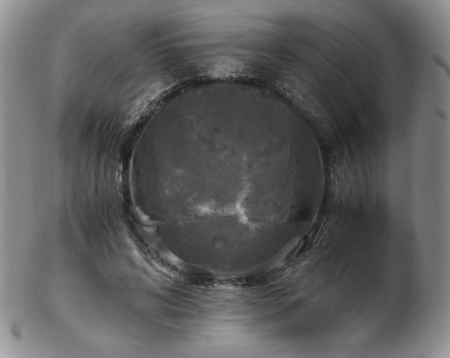X0000103130592200808221156