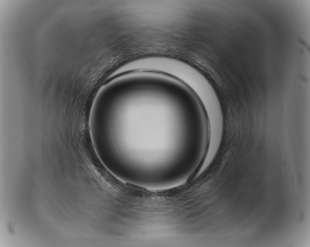 X0000103130593200808221156