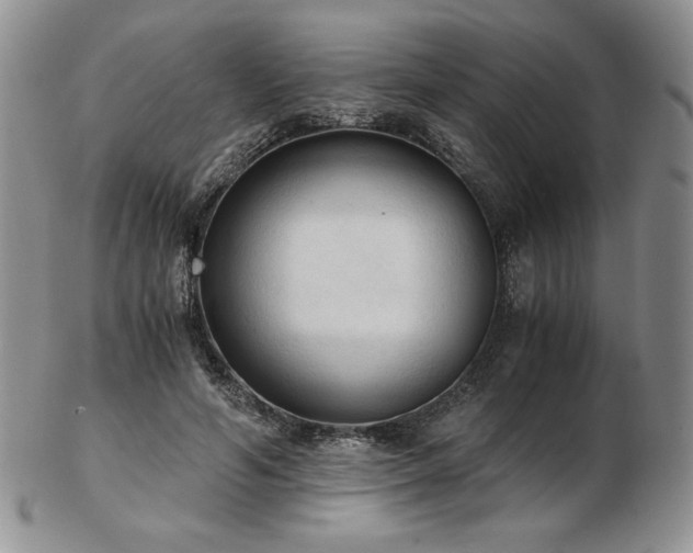 X0000103130594200808221156