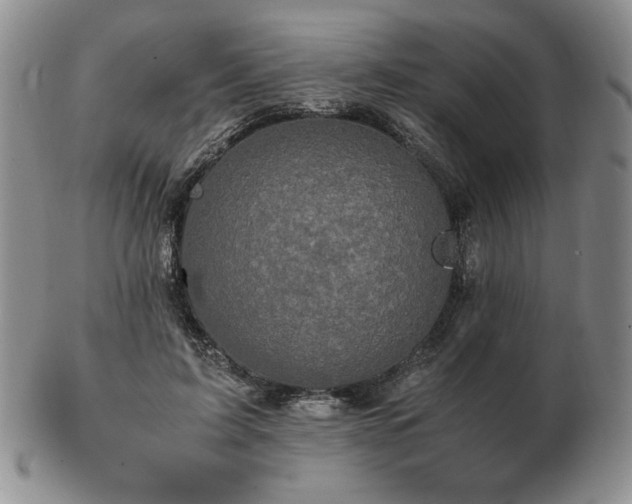 X0000103130595200808221155