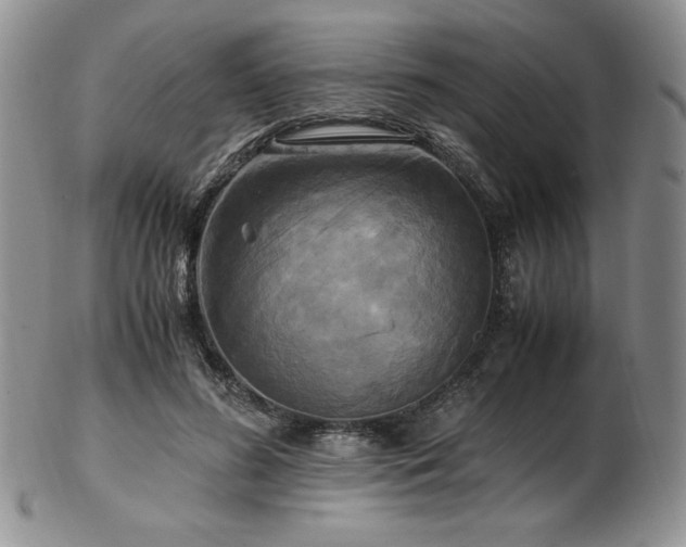 X0000103130596200808221155