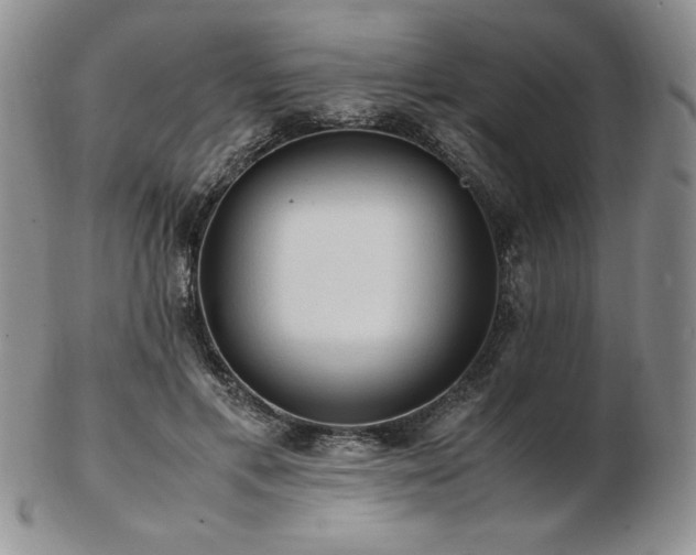 X0000103130597200808221155