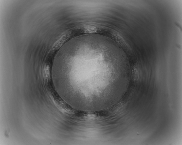 X0000103130598200808221155