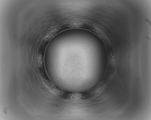 X0000103130599200808221155