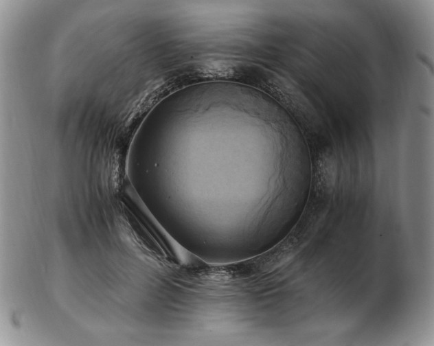 X0000103130600200808221155