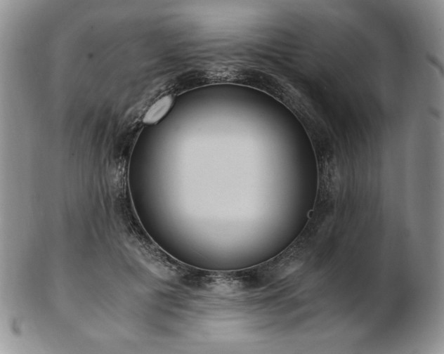 X0000103130601200808221155