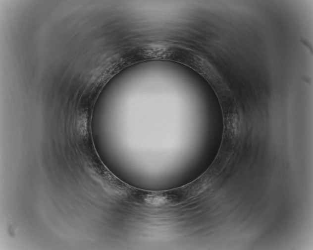 X0000103130602200808221155
