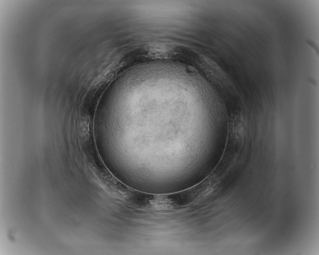 X0000103130603200808221155