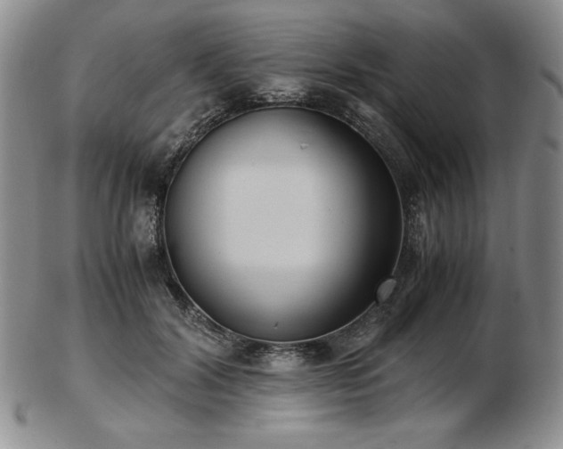 X0000103130604200808221155