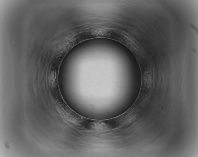 X0000103130605200808221155
