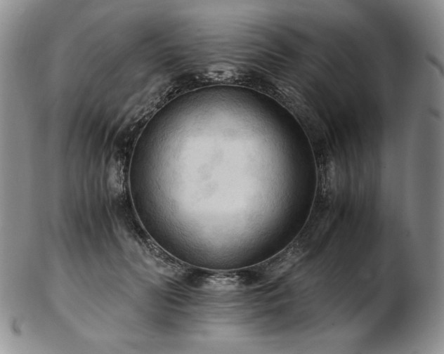 X0000103130606200808221155