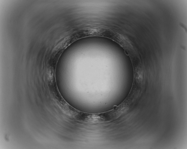 X0000103130607200808221155