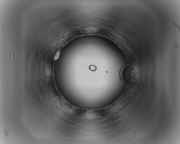 X0000103130608200808221155
