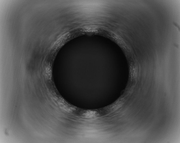 X0000103130609200808221155