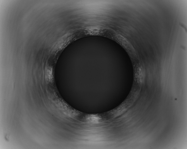 X0000103130610200808221155