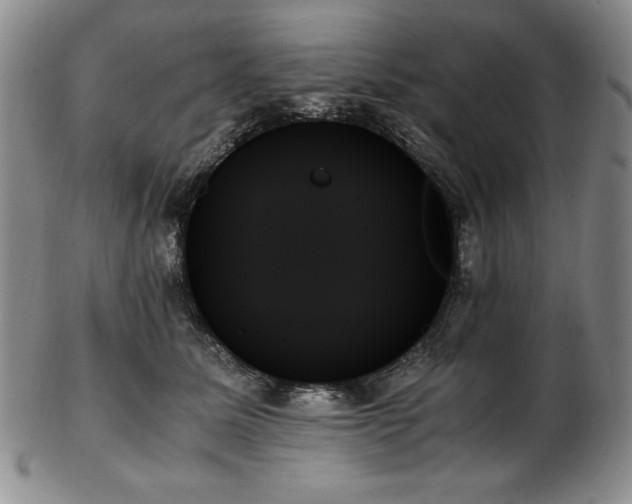 X0000103130611200808221155