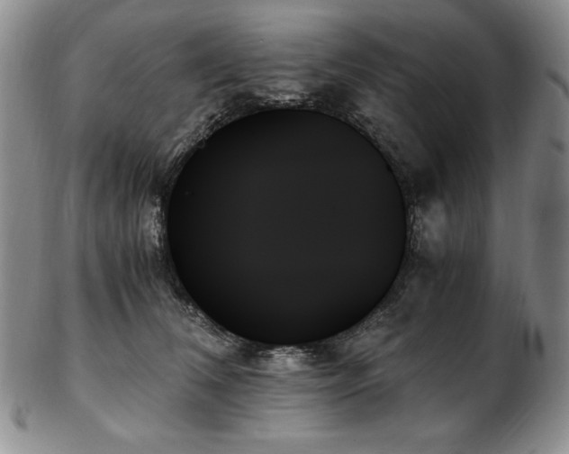 X0000103130612200808221155