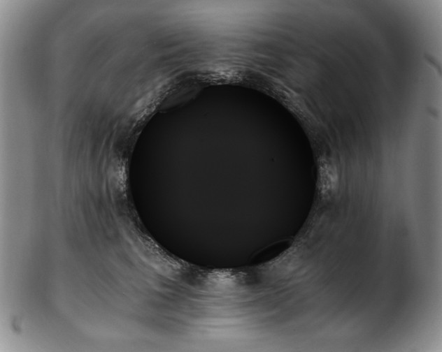 X0000103130613200808221155