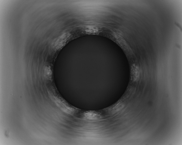 X0000103130614200808221155