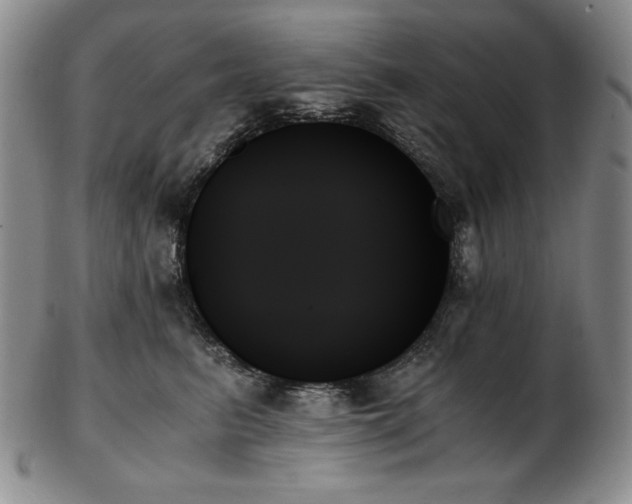 X0000103130615200808221155