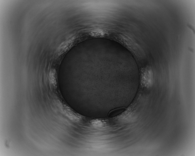 X0000103130616200808221155