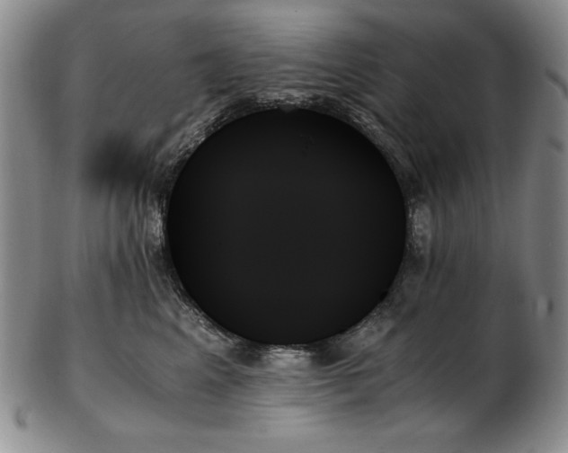 X0000103130617200808221155