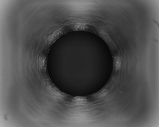 X0000103130619200808221155