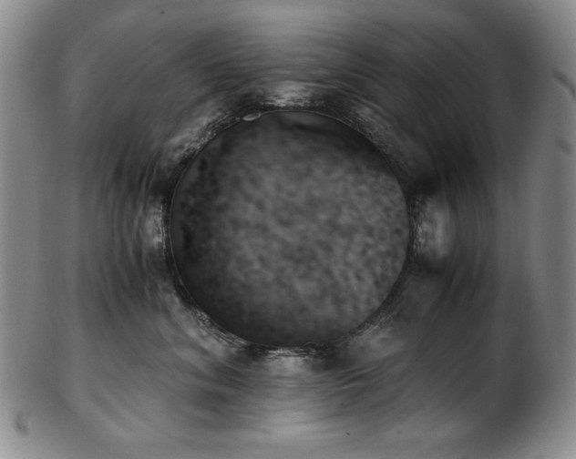 X0000103130620200808221155