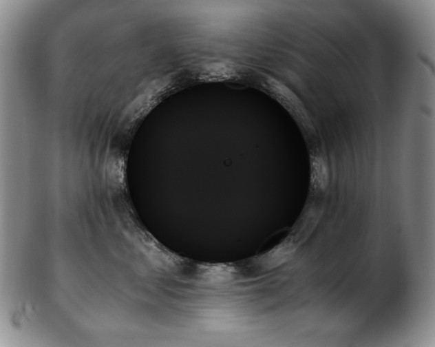 X0000103130621200808221155
