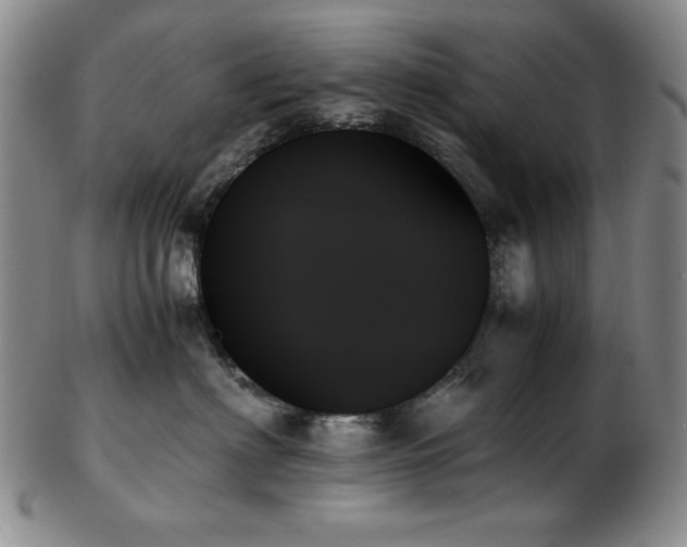 X0000103130622200808221155