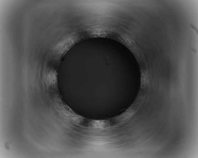 X0000103130623200808221155