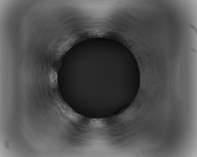 X0000103130624200808221155