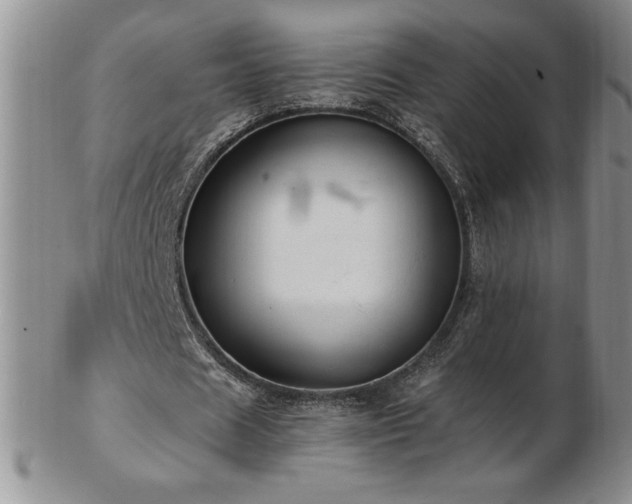 X0000103130625200808221154
