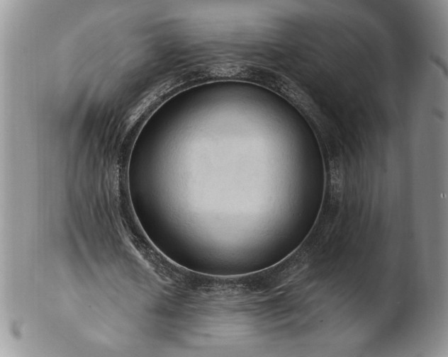X0000103130626200808221154