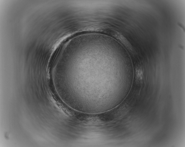 X0000103130628200808221154