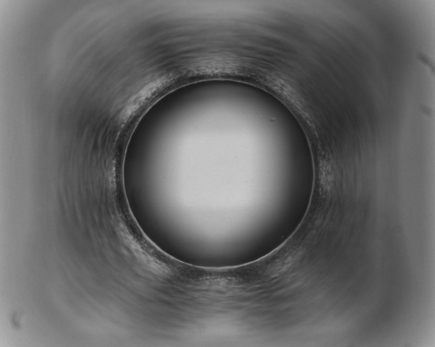 X0000103130629200808221154