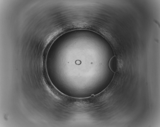 X0000103130630200808221154