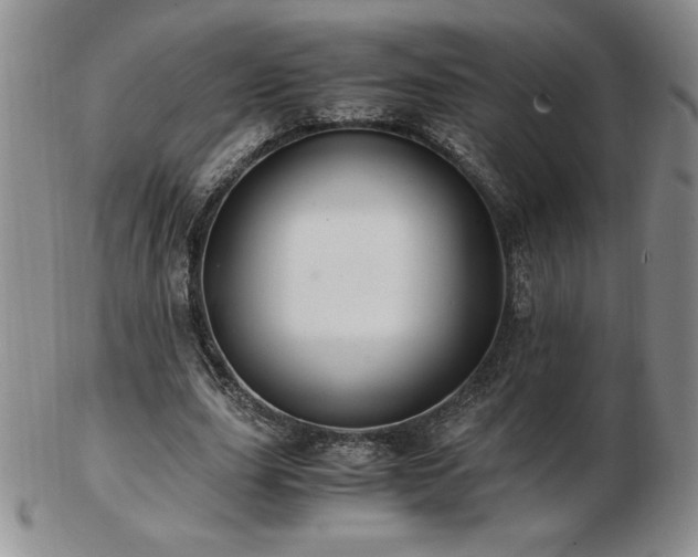 X0000103130631200808221155
